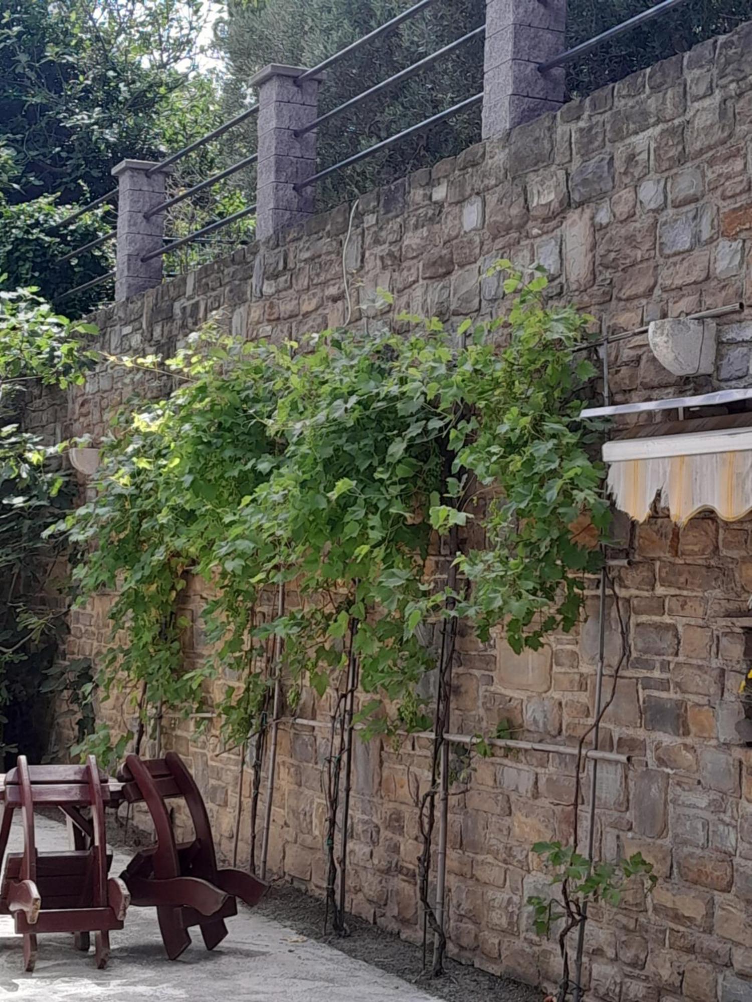 Apartmaji 斯楚雅 外观 照片